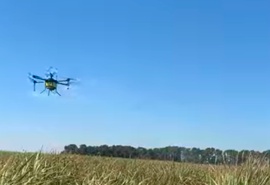 Aplicação de defensivo agrícola com drone pulverizador